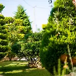 Apartman Mandani *