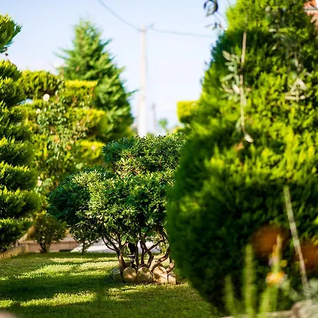 Apartament Mandani *